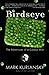 Birdseye: The Adventures of a Curious Man