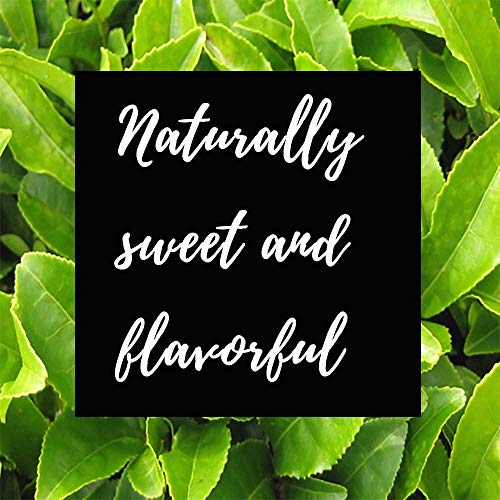 Shangri-La Tea Company Iced Tea, Organic Tropic Green, Unsweetened And All Natural, Bag Of 6, 1/2 Ounce Pouches (5059) #TOP1