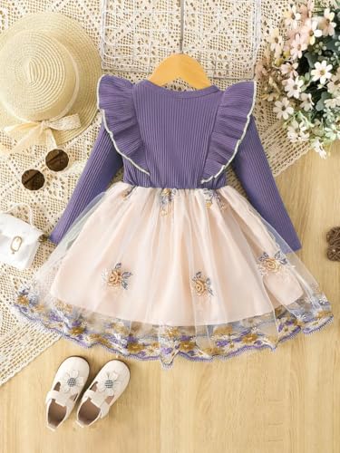 Image of Tagas Girls' Princess Dress for Girls ||Fancy Dress|| Birthday Frock for Girl