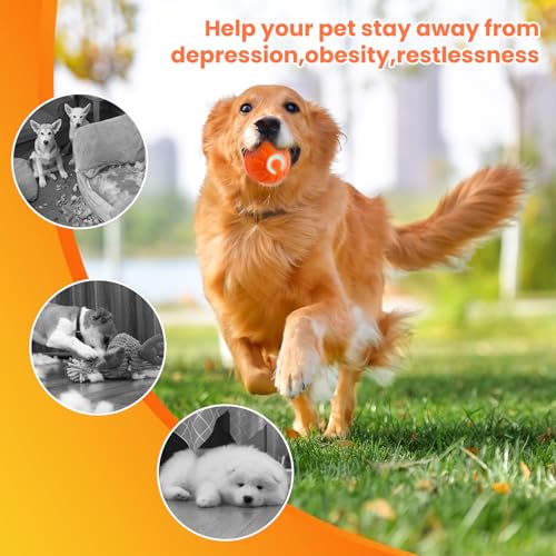 DAILINK Pelota de Juguete Inteligente, Juguete Automático para Perros, Pelota Interactiva para Perros, Duradera y Automática, para Cachorros, Pequeños y Medianos, Recargable por USB - imagen 5