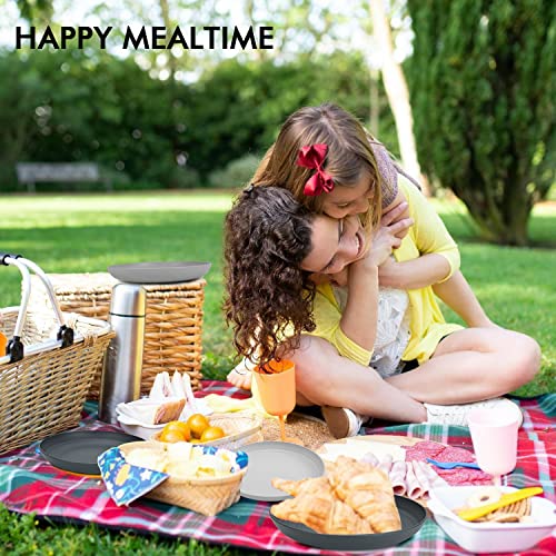 Pyrmont Dinner Plates Set Of 8 - Durable Wheat Straw Plates Reusable 10 Inch Large Plates Alternative For Plastic Plates- Dishwasher And Microwave Safe Unbreakable Plates For Kids (Grey Stone) #TOP5