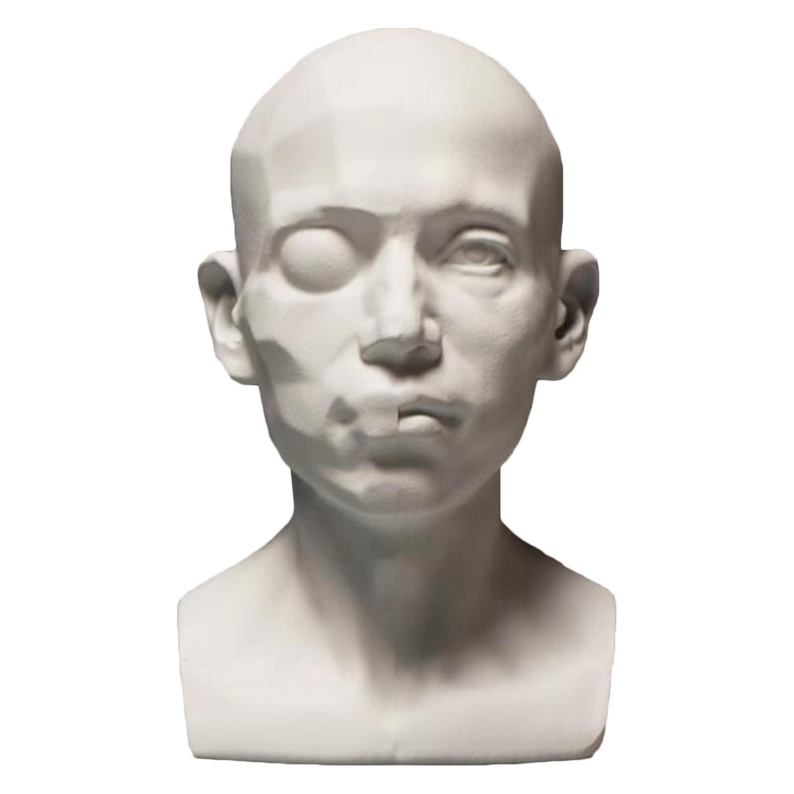 XCSCUK Generic Planar Head Model, Human Skeleton Head Skull Model, Artists Learn Planes Of Face,for Artistic Drawing Sketching Painting (T7)