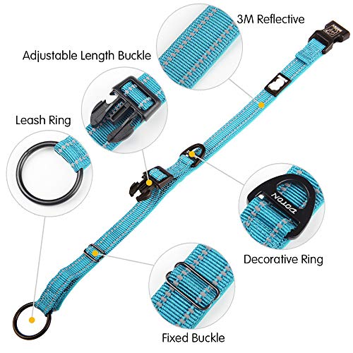 Comodo collare per cani con guinzaglio in neoprene...