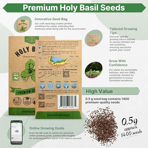Organo Republic Holy Basil Seeds Pack 0.5 G - Over 1,400 Non-GMO Heirloom Basil Seeds for Planting Herbs in Individual Seed Packet, Herbs Seeds for Planting Home Garden Indoor & Outdoor Gardening - Image 2