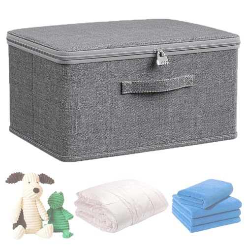 LIUYIDM Scatola Universale Bloccabile 30 * 20 * 14CM Scatola Con Lucchetto Scatole per Scarpe Medicinali Contenitore Armadio, Può Essere Utilizzato per Riporre Vestiti, Pantaloni E Oggetti Di Valore