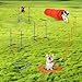 Dog Agility Training Equipment, 87-Piece Dog Obstacle Course Training Starter Kit Pet Outdoor Game with Tunnel, Agility Hurdle, Weave Poles, Jump Ring, Pause Box, Toy Balls and Storage Bag