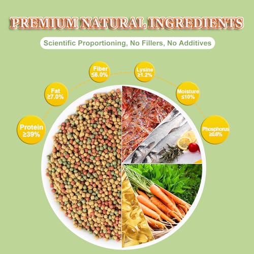 Goldfish Fish Food Floating Pellet - Color Enhancing with Antarctic Krill Spirulina Balanced Diet for Pond Tank Fish Promotes Growth Clear Water, 12oz - Image 6