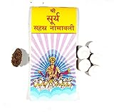 Original Text Shree Surya Shashra Nama Bali Free 2 Mukhi Rudraksha and 5 Gomti Chakra [Paperback]...