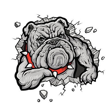 DBRGR® Pechinese modello auto adesivo decorativo