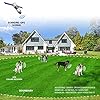 JUSTPET-GPS-Wireless-Dog-Fence-Containment-System-Electric-Accurate-GPS-Wireless-Dog-Fence-with-Rechargeable-Training-Collar-Range-Up-to-3281-FT-Harmless-and-Suitable-for-All-Dogs Electric Wireless Dog Fence System for Dogs