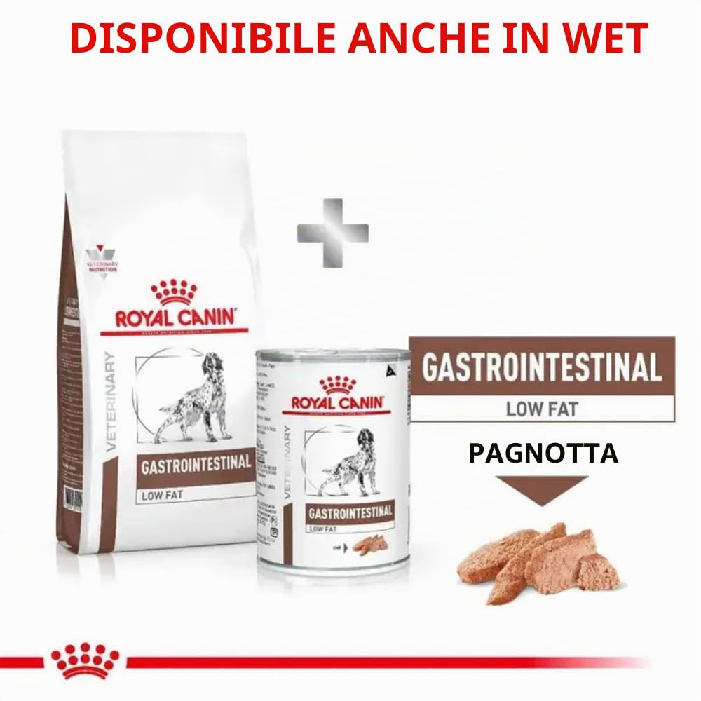 Royal Canin Dog Food Gastro Intestinale a Basso Contenuto di Grassi LF22-12 kg