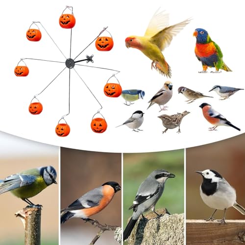 Mangeoire à oiseaux-mouches grand format pour l'observation extérieure - 5