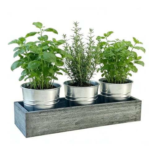 Vasi per piante – Drenaggio 3 pezzi piccoli vasi in metallo | Vasi per piante da casa per familiari amici scrivanie davanzali uffici interni esterni giardino patio balcone contenitori funzionali