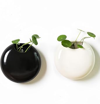 2 Pack Wall Hanging Planters, 4 Inch Round Ceramic Wall Mounted Planter Holder for Propagating Hydroponics Plants, Air Plants, Succulent Plant NOT Included