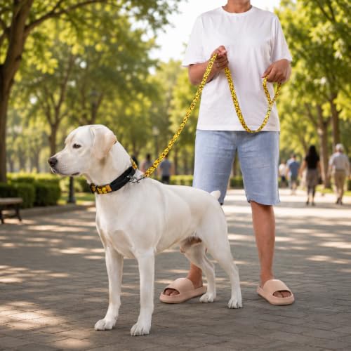Image of Wooflix Heavy Duty Nylon Dog Leash | Anti Slip Padded Handle Long Dog Leash | Highly Reflective Leash for Dogs | Dog Rope for Medium & Large Dogs | Dog Training Leash | (Yellow Duck, 10 Feet Long)