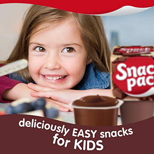 Snack Pack Chocolate Fudge Pudding Cups, 4 Ct #TOP6