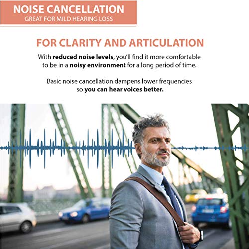 Britzgo Digital Hearing Amplifier Bha-902S"Smarter" - P13 Germany Made Battery - Metal Blue - Behind-The-Ear Hearing Amplifier #TOP4