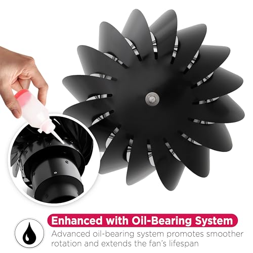 Biolan Windabsauger: Funktioniert ohne Strom, Moderner ventilator, Schwarz, 37 cm x 24,5 cm x 1,5 kg, Windbetrieben, Ideal für Trockentoiletten und andere Belüftungszwecke