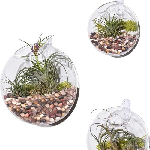 Pulovin WC-RIVERSTONE-15 Lbs Decorative Garden Stone Outdoor Landscaping thumb #6