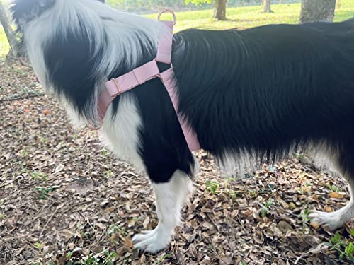 Soft Leather Nylon No Pull Dog Harness With Rose Gold Metal Buckle,Adjustable Neck And Chest And Easy To Clean,For Small Medium Large Dog And Outdoor Walking Training(Pink,S(Chest15-20")) #TOP5