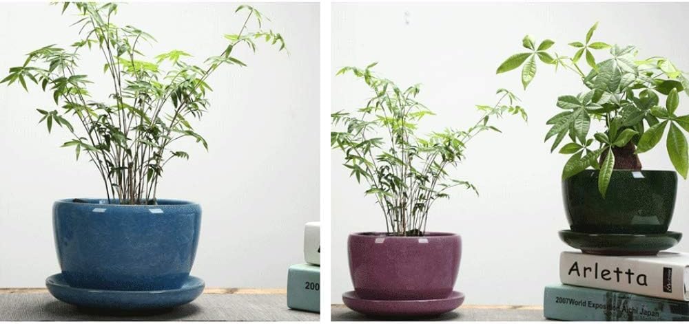 Ceramiczna doniczka, nowoczesna doniczka na rośliny kaktusa, dekoracyjny pojemnik do domu i ogrodu, dekoracja biurowa, 24 cm doniczka wewnętrzna, stylowy i wszechstronny design