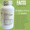 Pure Kefir Probiotic Supplement 50 Billion CFU - Kefirito 7 Strains Kefiran 60 Capsules - Probiotics for Women and Men - Digestive Enzymes Supports Akkermansia 1 Month Supply The Spirit of The Forest