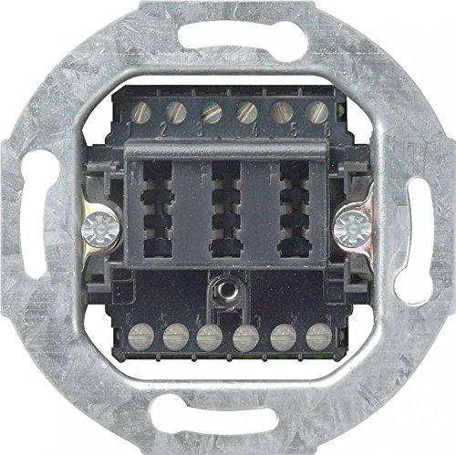 Gira 003210, Modulo per presa TAE 2 x 6 NFF