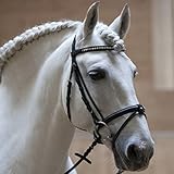  Kieffer Trensenzaum Anja Beran Exclusiv abnehmbarem Sperriemen, ENGL. Reithalfter Beschläge Chrom (Silber), Stirnband gelben und roten Swarovski-Kristallen, Größe Warmblut, Farbe braun