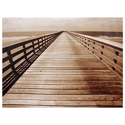 Oriental Furniture Ocean Walkway Canvas Wall Art