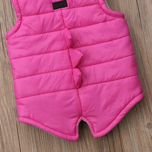 Kmbangi Kids Toddler Baby Boy Girl Dinosaur Vest Outwear Sleeveless Warm Hooded Jacket Waistcoat (Hot Pink, 2-3T) #TOP6