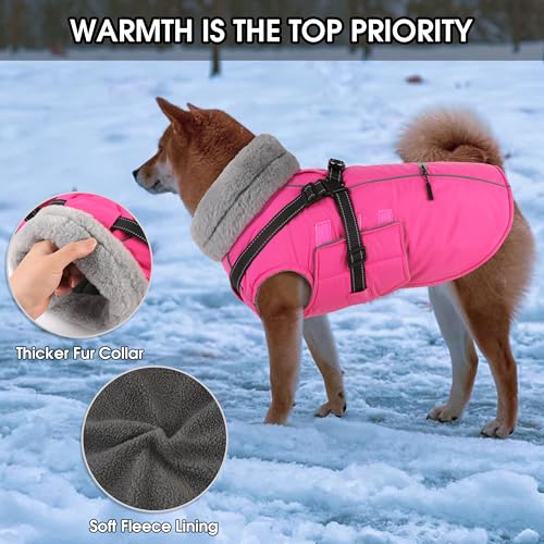 Chaqueta reflectante para perro ideal para paseos nocturnos lluviosos 3