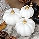 Miaikoe Künstliche Kürbisse 12Pcs Verschiedene Größen und Farben Bulk Ernte Lebensechte Kürbis gefälschte Schaum Kürbisse Set für Herbst Herbst Halloween Party Thanksgiving Urlaub Dekor Anzeige