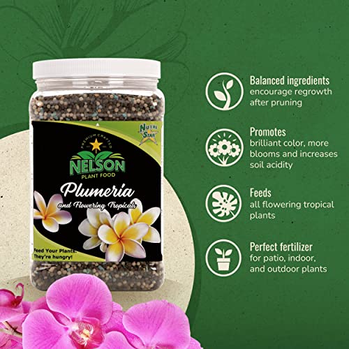Nelson Plumeria Plant And All Flowering Tropicals Food Ferns Orchids Lilys In Ground Container Patio Grown Granular Fertilizer Nutristar 5-30-5 (2 Lb) #TOP2