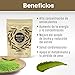 Imagen de NATUR WASSY Te Matcha VAINILLA, Grado PREMIUM