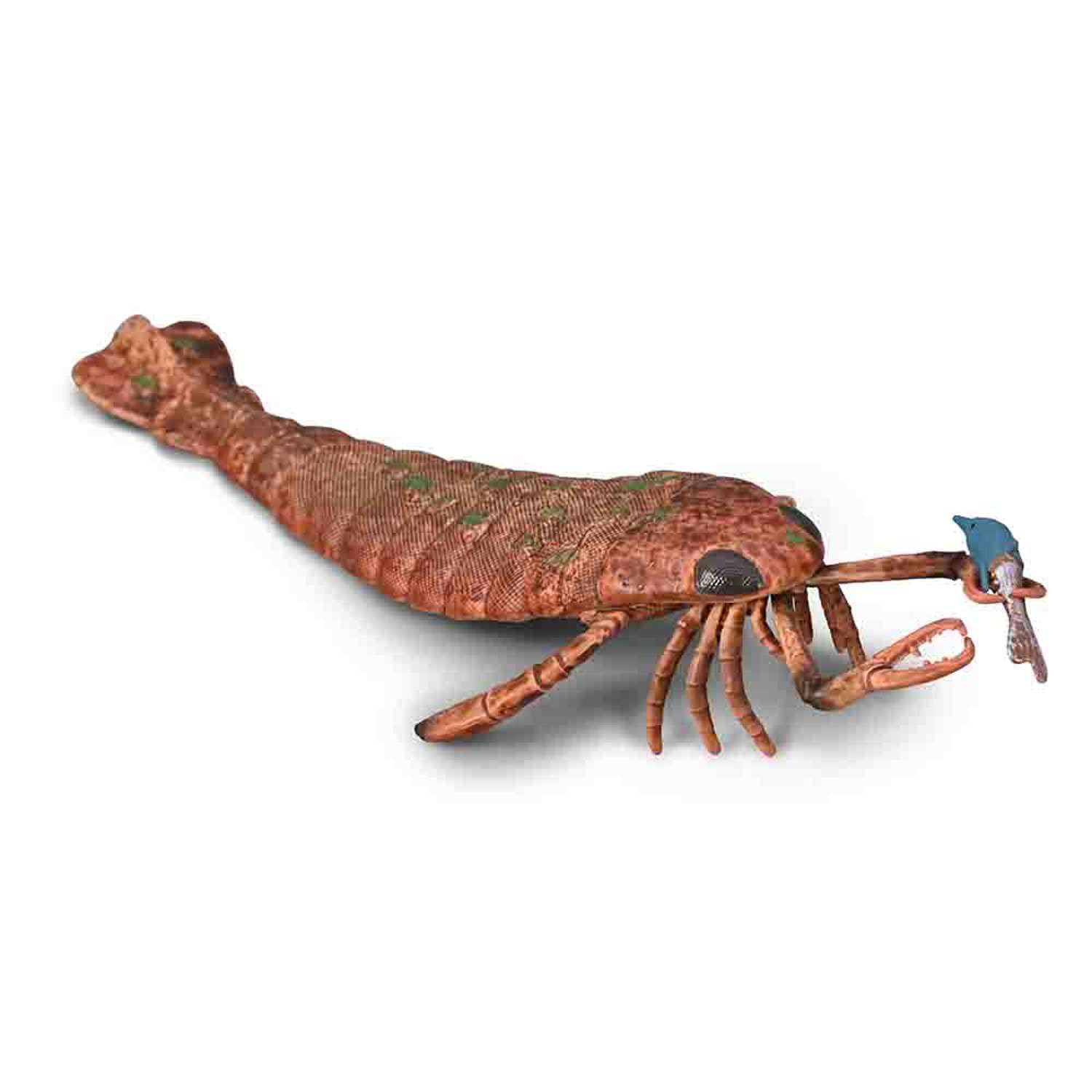 CollectA Jaekelopterus with Prey (1:20 Scale) - Prehistoric Ocean Animal Figure, Realistic Toy Animals & Figures, Wild Animal Models, Wildlife Gifts For Toddlers & Kids, 3 Years +