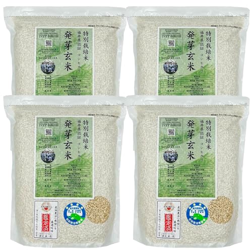 茺 _Ew엿͔| _RVqJuIv 2kg×4  ߘa7NY ^pbN āEHӒmF