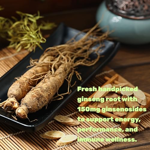 Korean Red Panax Ginseng Root Extract, 7,500mg Serving, 240 Softgels – 150mg Active Ginsenosides - Image 7