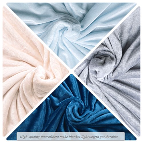 Chiara Rose Super Soft Throw Blanket Flannel Fleece Cozy Plush Velvet Faux Fur Fluffy Lightweight Solid Smoke #TOP3