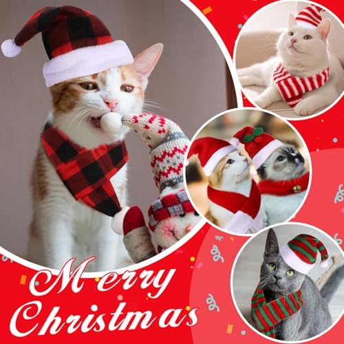 Set 10 piezas gorros Santa y bufandas para mascota miniatura 3