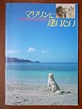 映画パンフレット　マリリンに逢いたい(1988作品)　編集・発行：松竹株式会社事業部（A4版）1988年発行　原作・脚本： 野沢尚 　監督： すずきじゅんいち 　出演： 安田成美、三浦友和 ほか