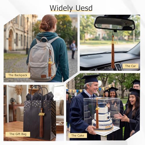 Image of GraduationMall Single&Multiple Color Graduation Tassel with 2026 Year Charm 9 inch