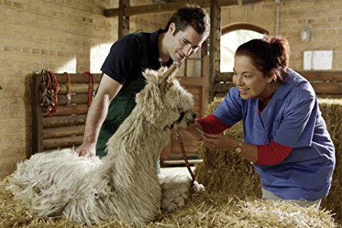 Pack en DVD Unser Charly - Die komplette Staffel 15 para televisión 5