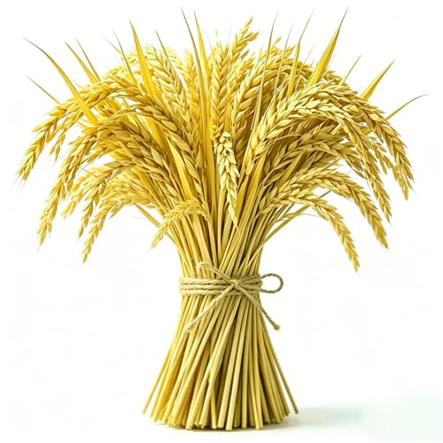 RAINFLOW 50 Dried Wheat Stalks - Natural Wheat Decor for Thanksgiving Decor