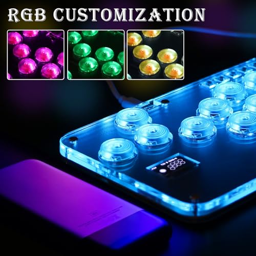 All-Button Arcade Controller R13, éliminez les erreurs de manipulation sur Switch PS4