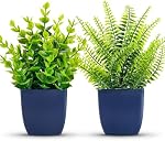 Der Rose Fake Plants 2 Pack Small Artificial Plants in Blue Pots Faux Plants Indoor for Home Room Bathroom Living Room Decor Indoor