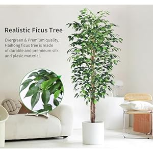 6FT Artificial Ficus TreeFake Plants with Sturdy Plastic Nursery PotFaux Ficus Trees for Home Office Living Room Farmhouse Indoor Outdoor Decor Perfect Housewarming Gift 6FT 1Pack