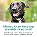 TropiClean Fresh Breath Water Additive for Dogs, Dog Breath Freshener and Teeth Cleaning Solution, No Toothpaste or Toothbrush Required, 33.8oz.