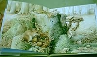 A Walk in the Woods B000BN76G2 Book Cover