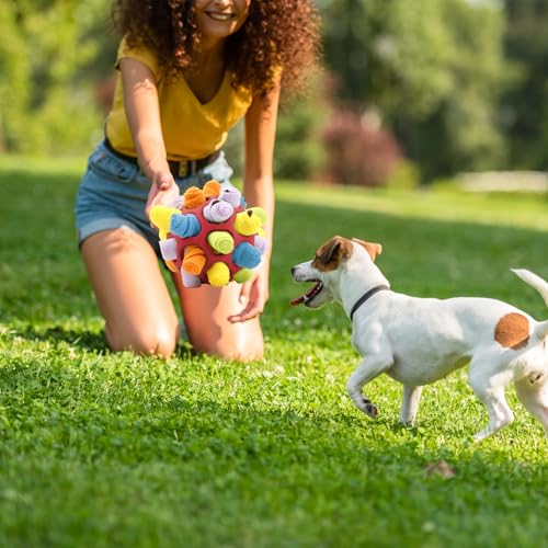 PLYFOU Bola de Snuffle para cães, bola de brinquedo interativa com corda resistente a mordidas, ince