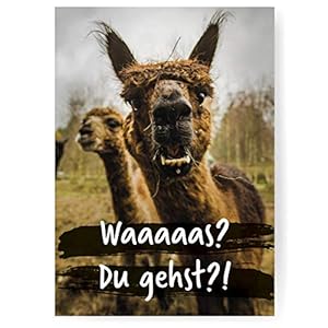 Sophies Kartenwelt Lustige Abschiedskarte im DIN A4 Format mit Umschlag “Alpaka” – XXL Klappkarte mit viel Platz für…